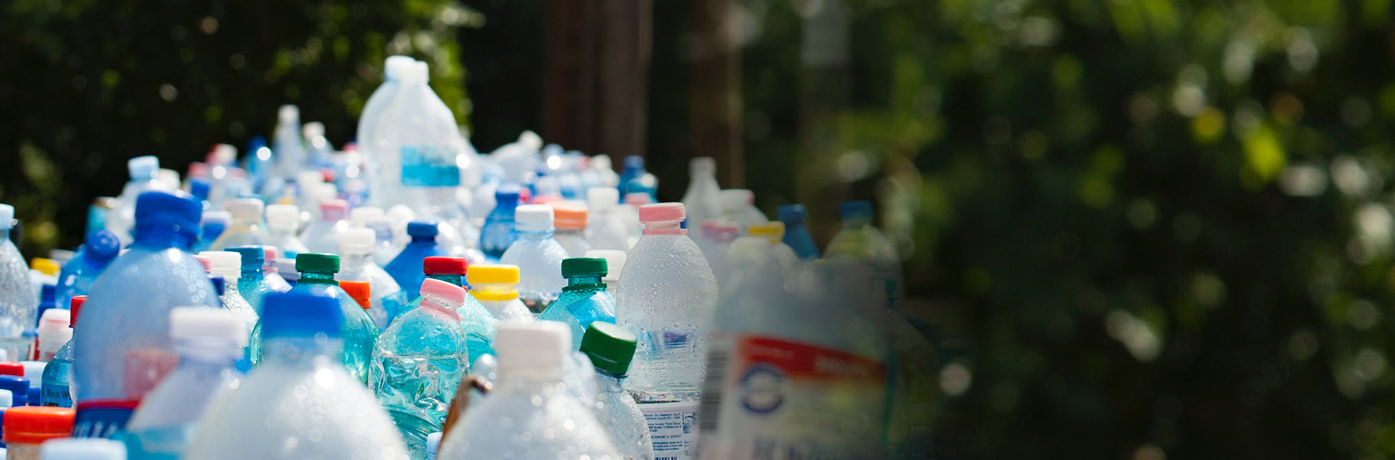 Plastic bottles collected for recycling