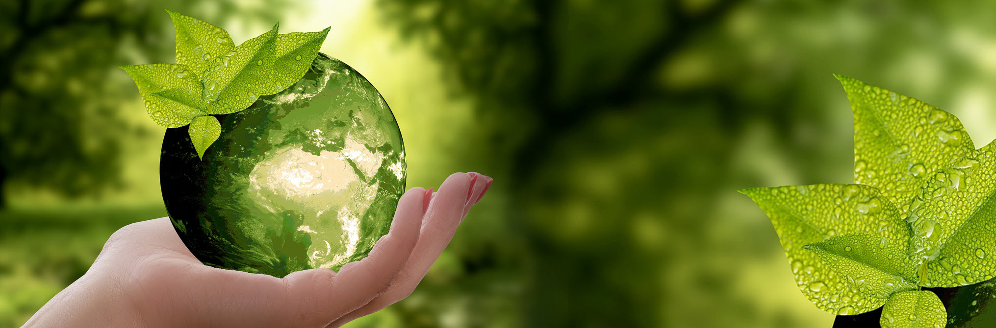 Green earth — environmental stewardship